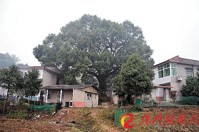 1500617064181938.jpg 2017-1-10-68458e4d323a4526b06821d2eed362c3.jpg