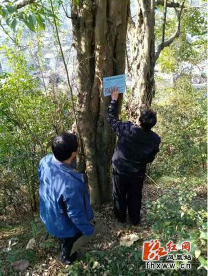 1500618500135825.jpg 2017-1-5-81b6bafa979a4c64aff4bb58a8c15701.jpg