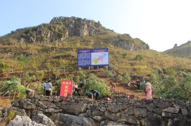 1500618836963094.jpg 植树区69d878d.jpg