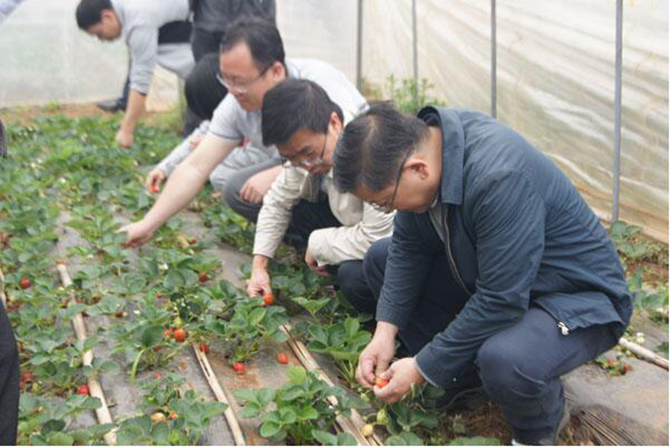 1500619111200786.jpg 2016-12-26-7ba69c31b2414f1d8d130d1127acf2c3.jpg