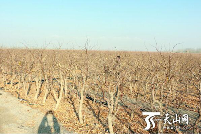 1500619448166705.jpg 2016-12-19-b24908057f264abc958291402d83d18e.jpg