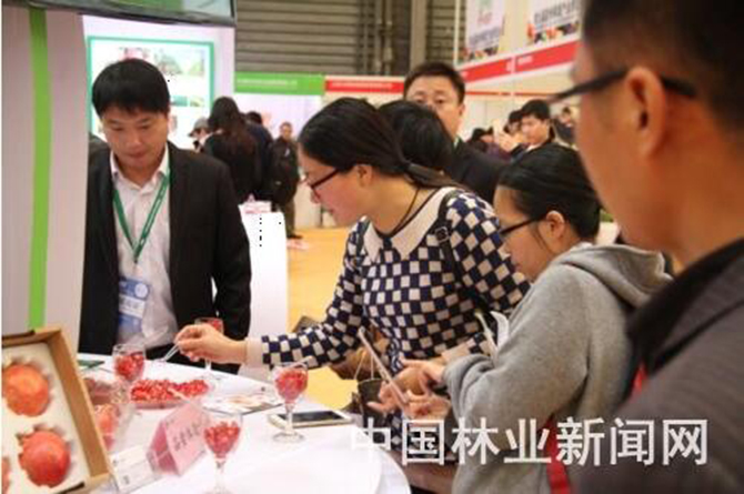 1500620785966450.jpg 2016-12-13-b9fbeb3fafd948fb9e57a76d96814a65.jpg