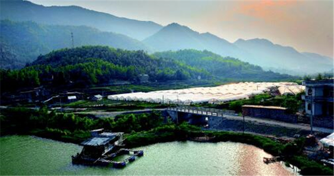 1500621089118191.jpg 1.jpg