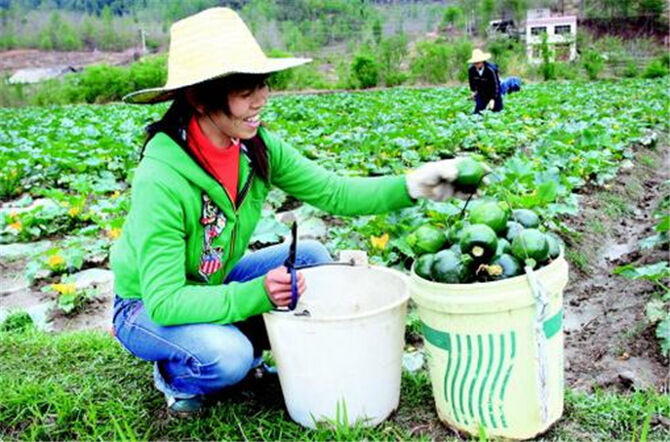 1500621156744880.jpg 2.jpg