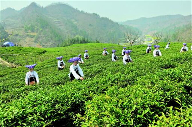 1500621187515692.jpg 3.jpg