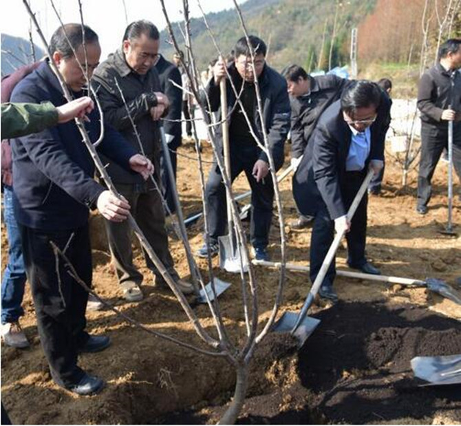 1500621496575980.jpg 2016-11-30-aef59b7d1df747cb8a40ee79d0ba935c_副本.jpg