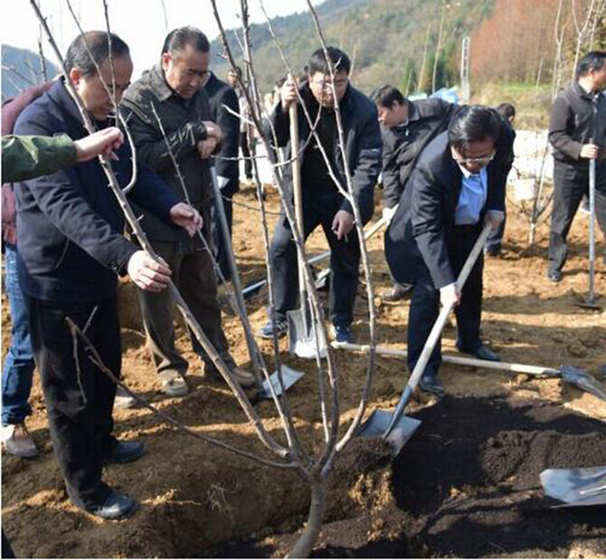 1500622374240461.jpg 2016-11-30-aef59b7d1df747cb8a40ee79d0ba935c.jpg