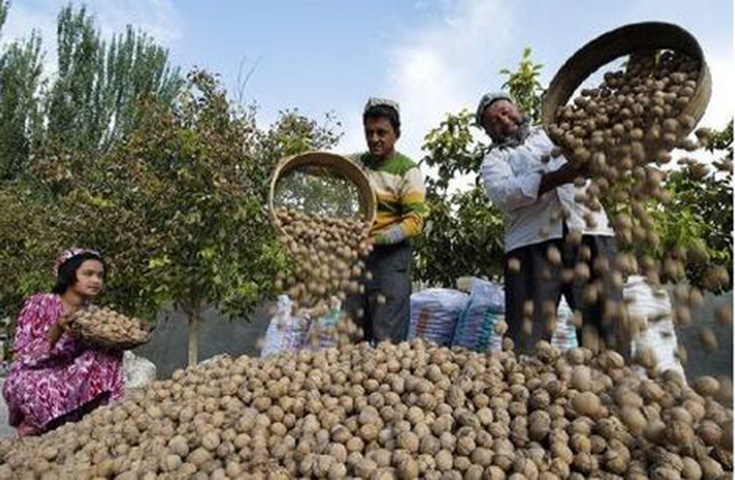 1500623631259911.jpg 2016-11-23-96a59db3b4eb4a0cb3f3fbb748606ae0.jpg