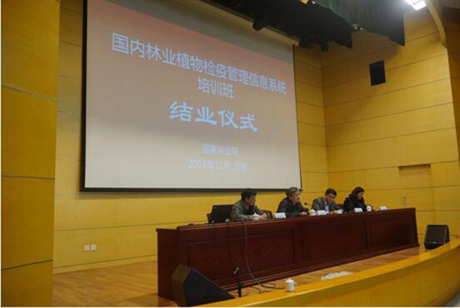 1500626567102437.jpg 2016-11-9-7590554826c6458ab02498ce781cb3bb.jpg