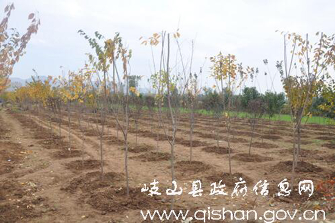 1500626719165285.jpg 2016-11-9-cea1fdf7350648219f27fd491509296e.jpg