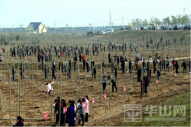 1500627113107403.jpg 2016-11-3-52785813ac614cd19b6d667234fd9097.jpg