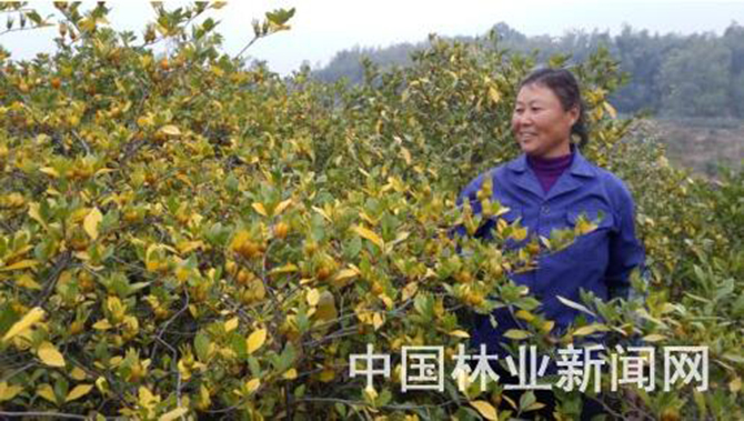 1500627488529764.jpg 2016-11-2-050d9d0b957f4e8fa9a8e02eb1c95dee.jpg