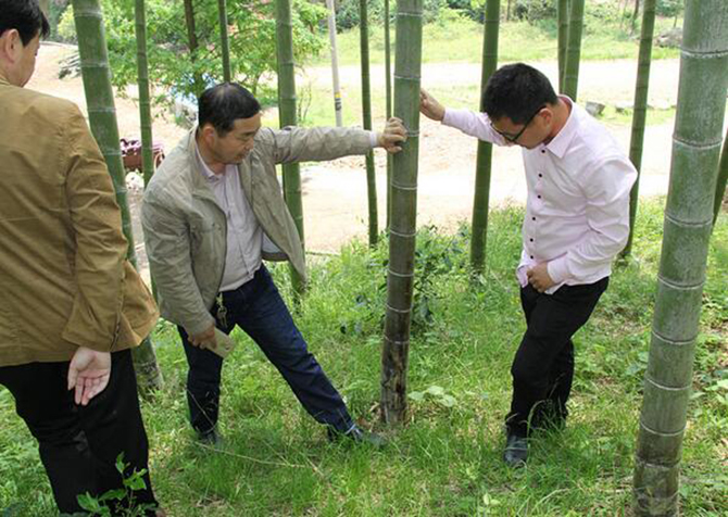 1500859934786750.jpg 2016-10-22-1e3f820d224c412bb175d3278bf3562c.jpg