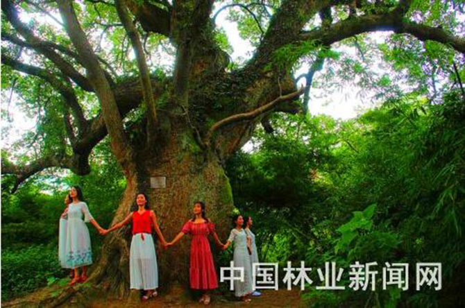 1500862726910509.jpg 2016-9-6-4b53b1a516744feea6f4ddf804177a0e.jpg