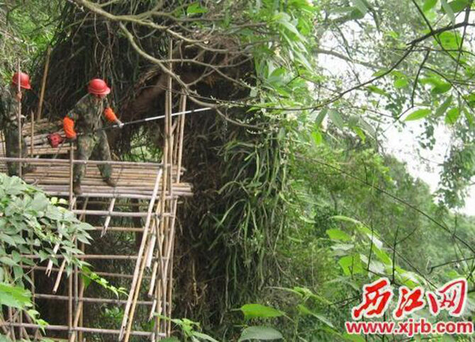 1500863043646810.jpg 2016-8-22-8380aa49840e4eaf8c7e5847f07f623b.jpg