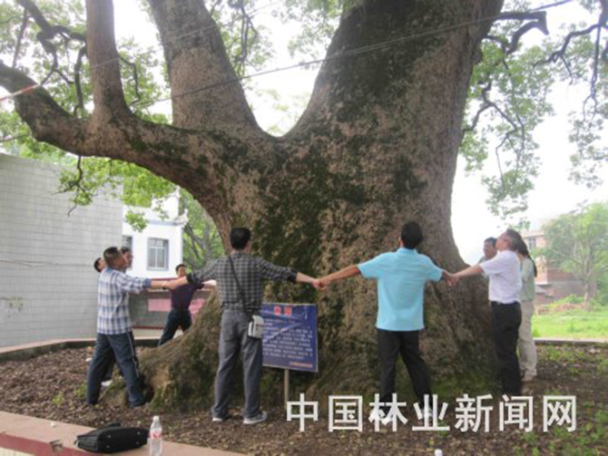 1500863578648144.jpg 2016-3-7-b3726080d265449c899bf6b9b4bc4cec.jpg