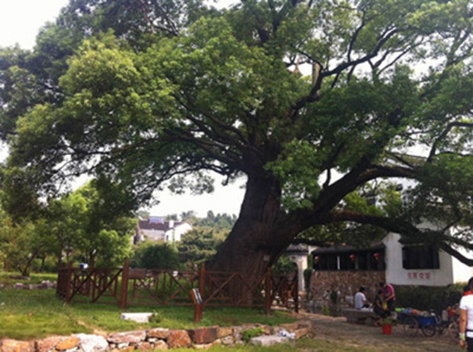 1500864188119976.jpg 2016-3-2-d2c3f32afdeb4e1ebd62234a5ca3787a.jpg