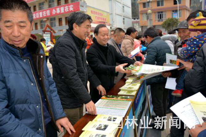 1500864319902419.jpg 2016-3-2-8610cd83343348e5a2741a237949d29d.jpg