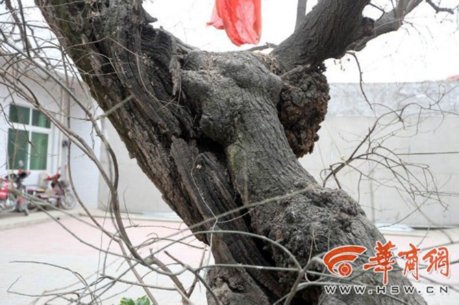 1500867159112136.jpg 2016-3-18-d370fa079f47446185a3927cc1ff9046.jpg