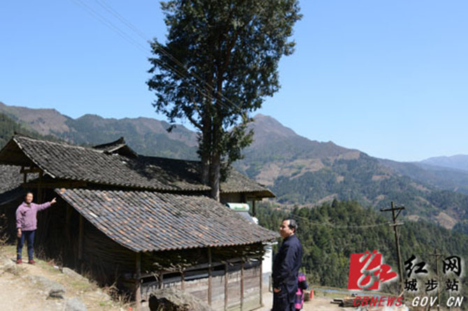 1500867338688035.jpg 2016-3-16-d8840534db8b4b688df6495b163c2098.jpg