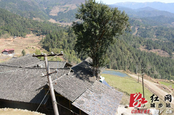 1500867352764201.jpg 2016-3-16-39cb3a0af774480db562e0951bd69571.jpg