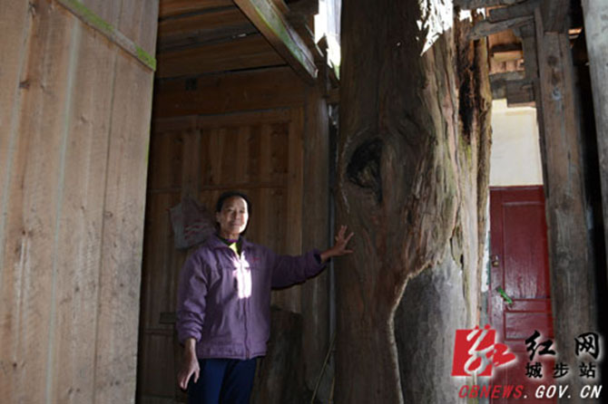 1500867378140455.jpg 2016-3-16-7e6bfb667a30485eb2b9ddeeb421c625.jpg