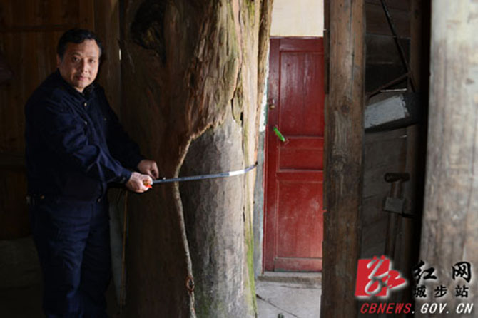 1500867410673533.jpg 2016-3-16-db40e1d699c948ef99a528de5e926a19.jpg