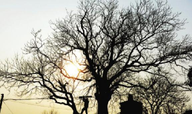 1500880189116994.jpg 2016-3-9-a8414c412fd34eaa859ab1ed99bf160d.jpg