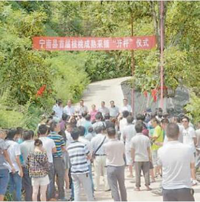 1500881367547149.jpg 2016-8-18-3d409a62b84a4fac90c3f9107218602c.jpg