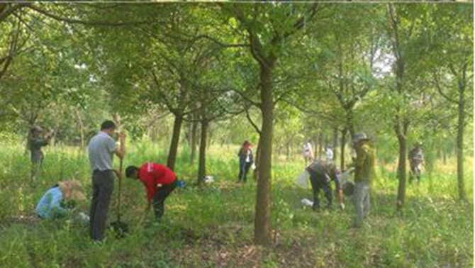 1500881980132804.jpg 2016-8-22-a06e3d7a1ae244358c215d0a2fa6efd0.jpg