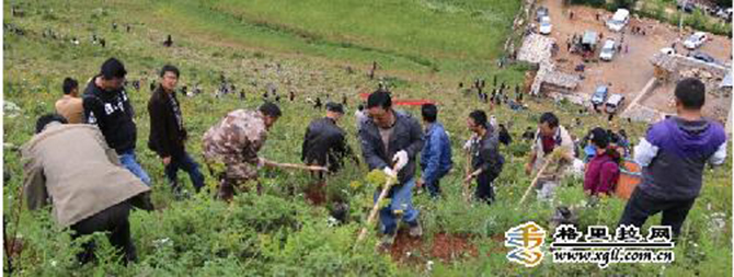 1500882617108840.jpg 2016-7-29-b72f297f1662403c945347babdf1eb71.jpg