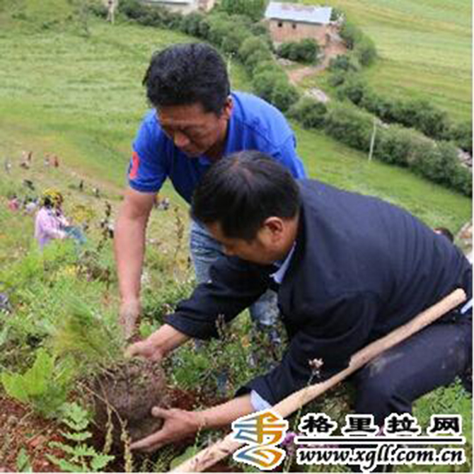 1500882629475716.jpg 2016-7-29-7b404ca705ca4170a4e9473a0518f5aa.jpg