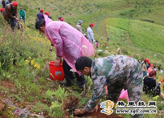 1500882635135980.jpg 2016-7-29-9322e2d785fc4411a1e25de2dd7e5e3f.jpg