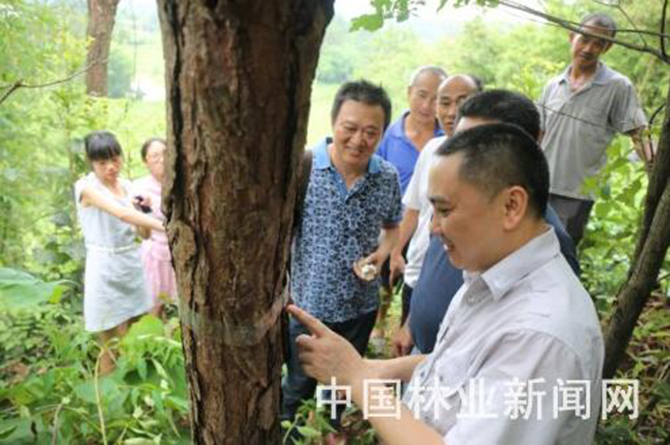 1500884237882969.jpg 2016-7-22-0996d4b937ea4c65a9ce1dc4408e0091.jpg