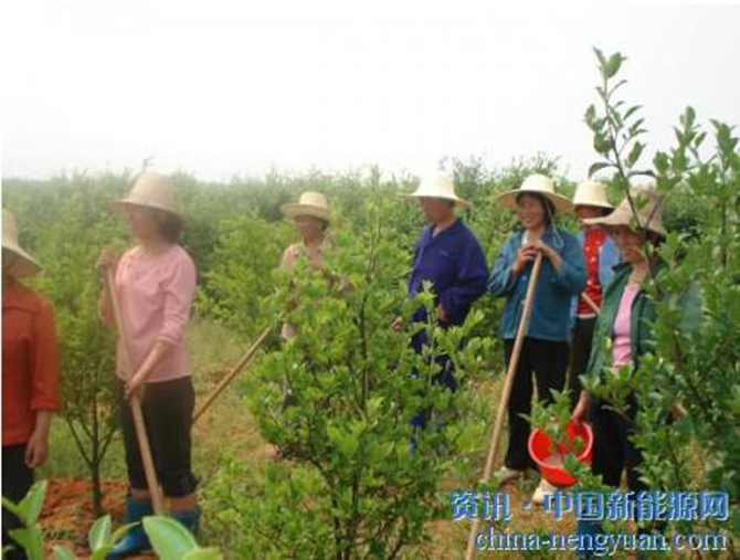 1500884481195407.jpg 2016-7-20-6c65cbac31294c148a40e09d7c78be54.jpg