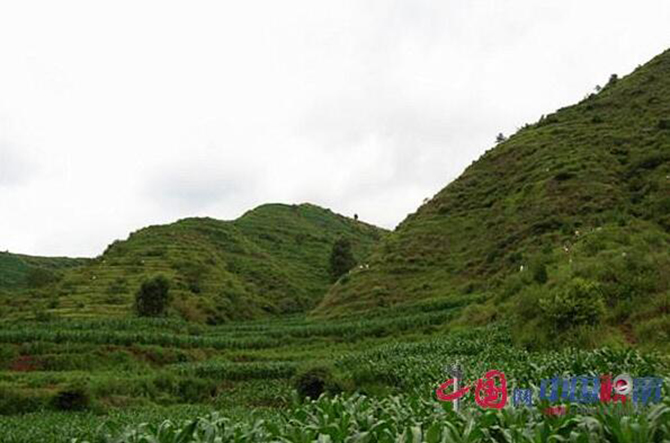 1500885902772850.jpg 2016-6-27-50cd57623fdf4cf7b4913f4364e75231.jpg