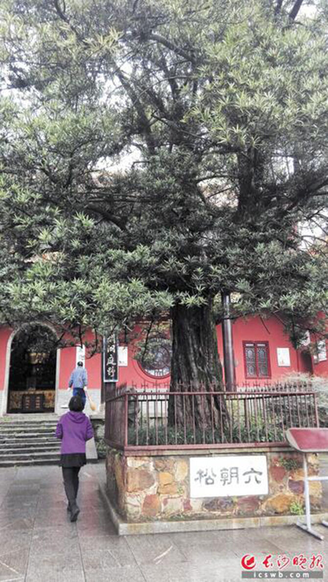 1500886383883184.jpg 2016-6-20-2877b80566b94b90a6cff014551154b5.jpg