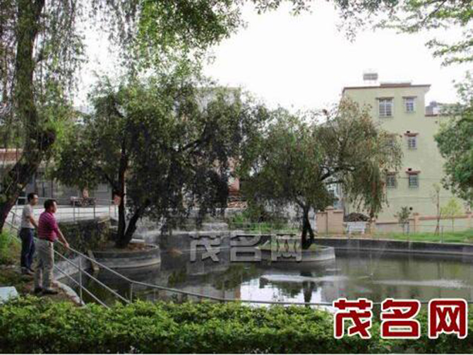 1500888295110897.jpg 2016-6-13-1450ff6451eb4d1d969139f3feae6c8d.jpg