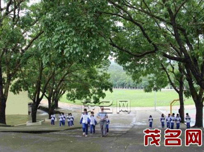 1500888321823714.jpg 2016-6-13-1a3d255e6ad7459abd370f30ff49902f (1).jpg