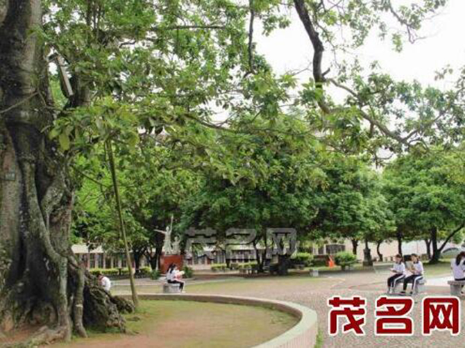 1500888379123630.jpg 2016-6-13-57f79c1161734c28a6cc3333a38ba89c.jpg