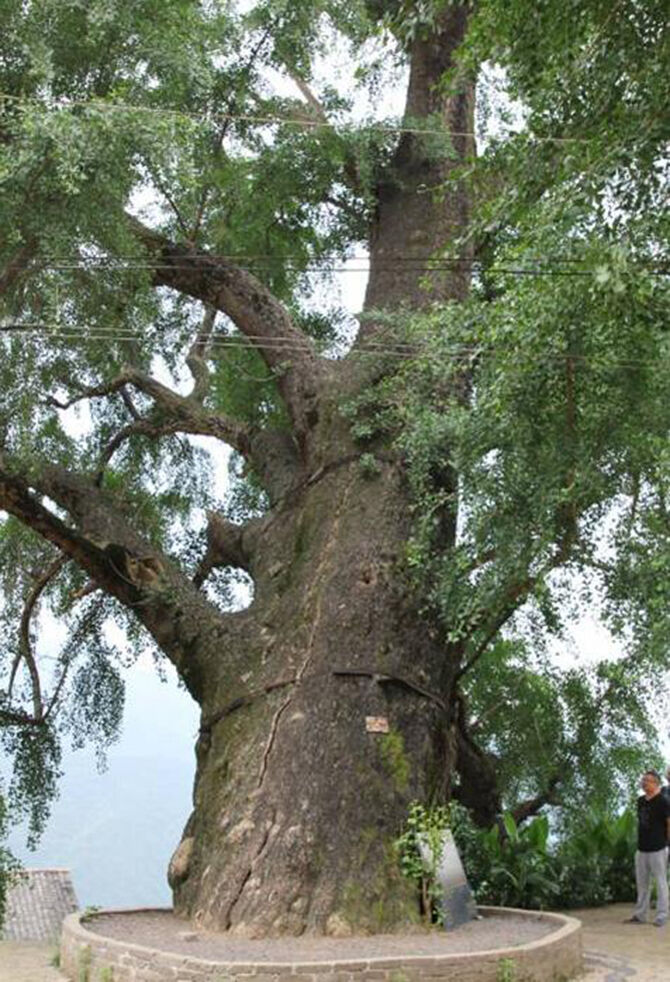 1500945029112424.jpg 2016-6-13-5a29432920db4fabadff3d8653b592d8.jpg