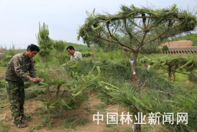 1500945206746515.jpg 2016-6-8-9ffa1eaa32014ecda2f6ea897e8bcd04.jpg