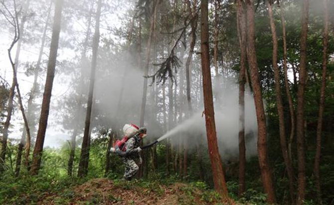 1500945513949324.jpg 2016-6-8-3018108c4b694deba04be5dd98681d48.jpg