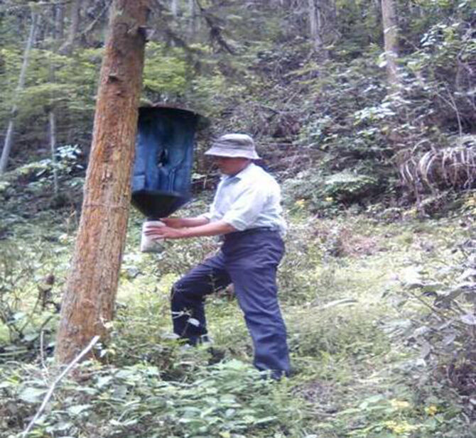 1500946974110032.jpg 2016-5-26-d23475a3355e4aaea3f6f35d47c3b295.jpg