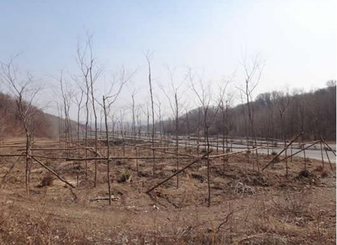 1500947097131827.jpg 2016-5-25-33c93486edb14741bcf373b77bbbb046.jpg