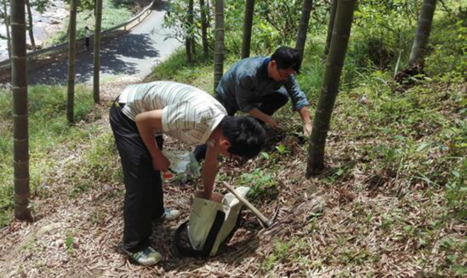 1500947583110613.jpg 2016-5-24-62b194691bf74fff913a0b4c9ed7a484.jpg