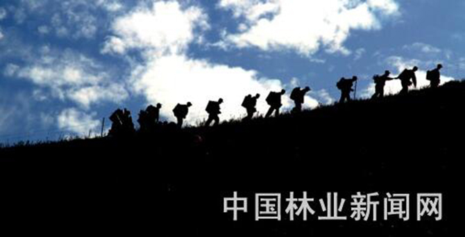 1500948378888606.jpg 2016-5-18-8ba8ff384896425ea3408ee92ce107f6.jpg