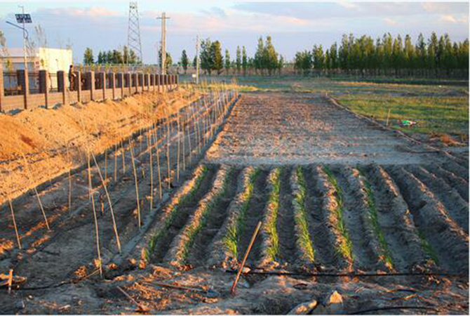 1500949995896782.jpg 2016-5-12-4027b820b27046faad842b28be08fe45.jpg