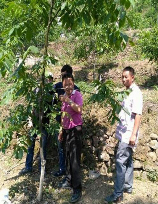 1500950288102837.jpg 2016-5-12-500c54117b0943279dde768c6ae3aa8f.jpg