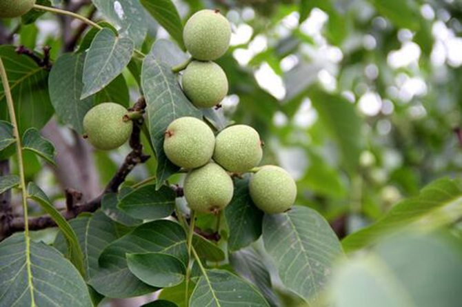 1500950763961803.jpg 2016-5-10-03add9ac1da949d4a2ddc6baa7b2cf5b.jpg